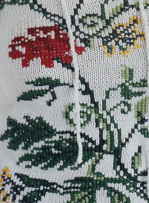 Polo Erbario - Archivio